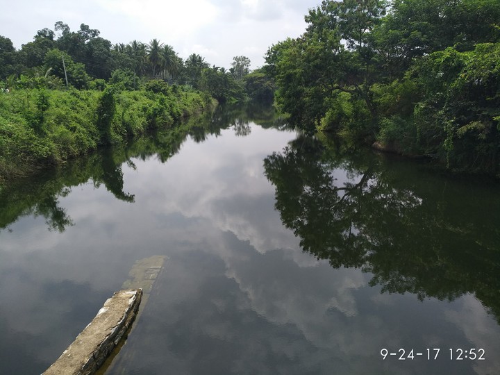 reflection