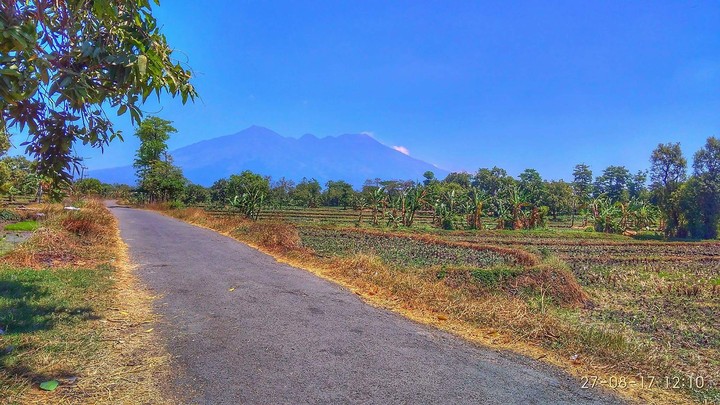 jepretan alakadarnya