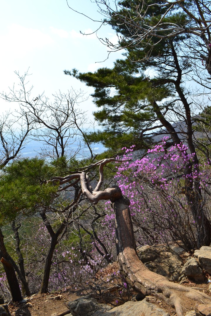 예봉산이미지