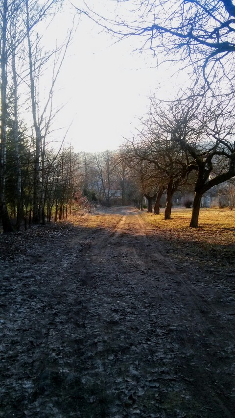 Walk
