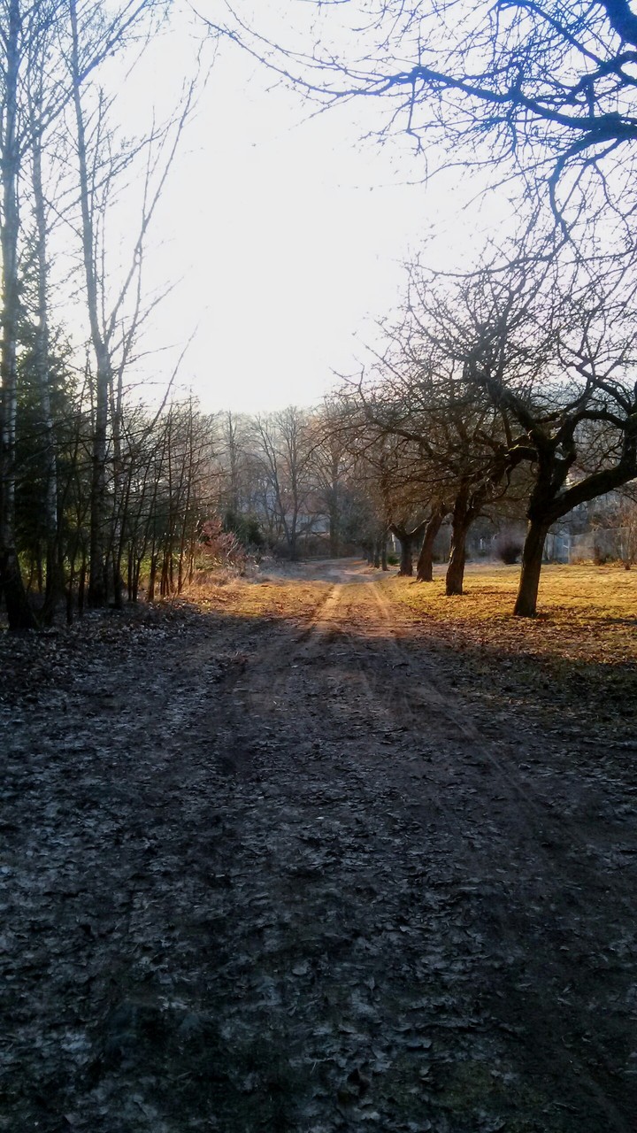 Walk