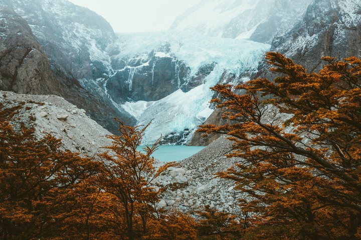 Nature love