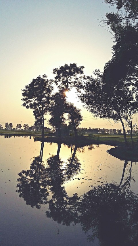 reflection