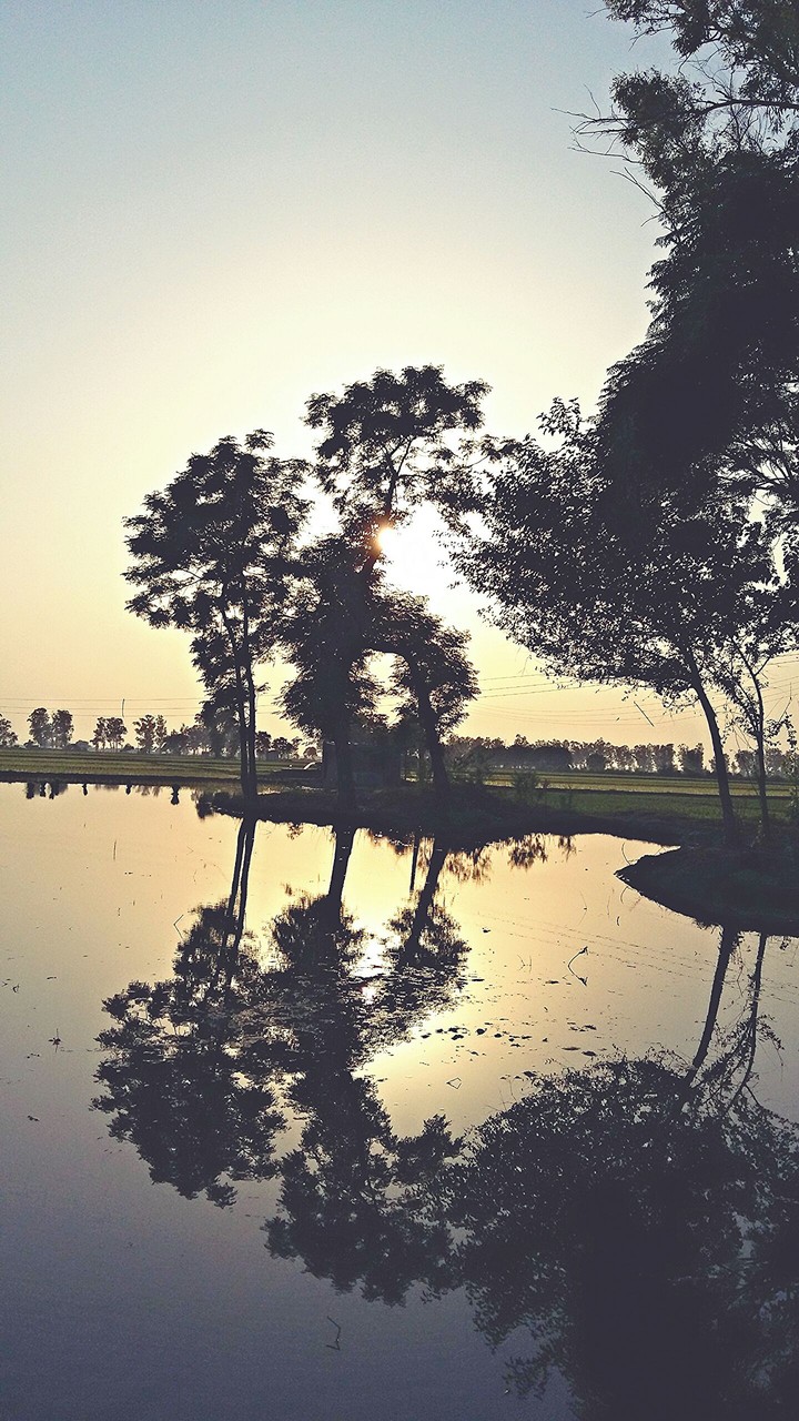 reflection