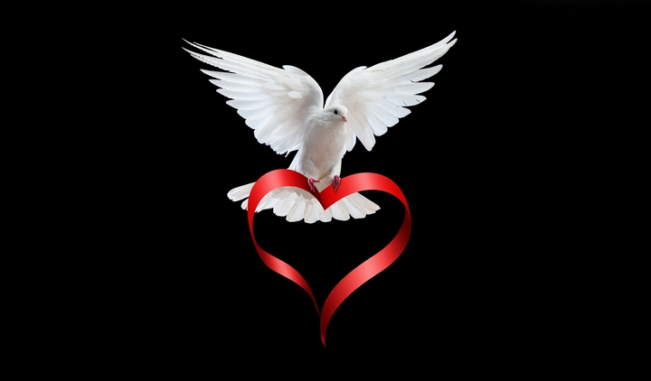 love & peace