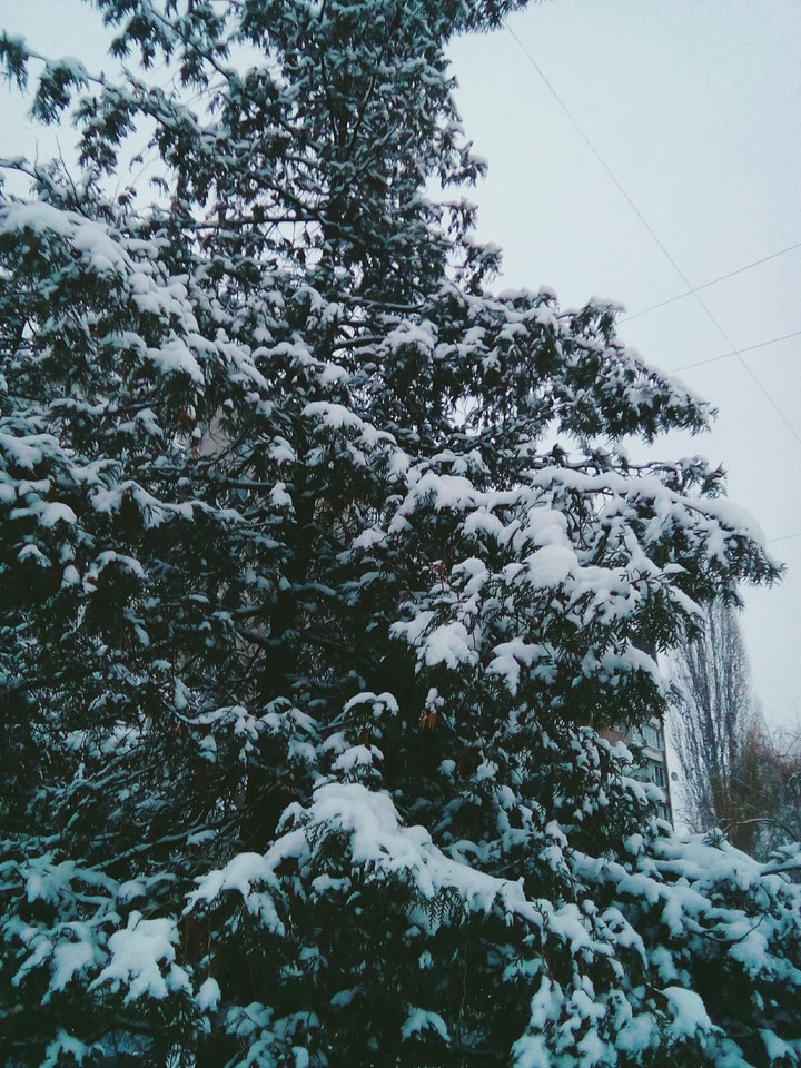 Snow