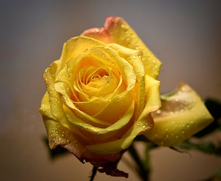for you ❤️
