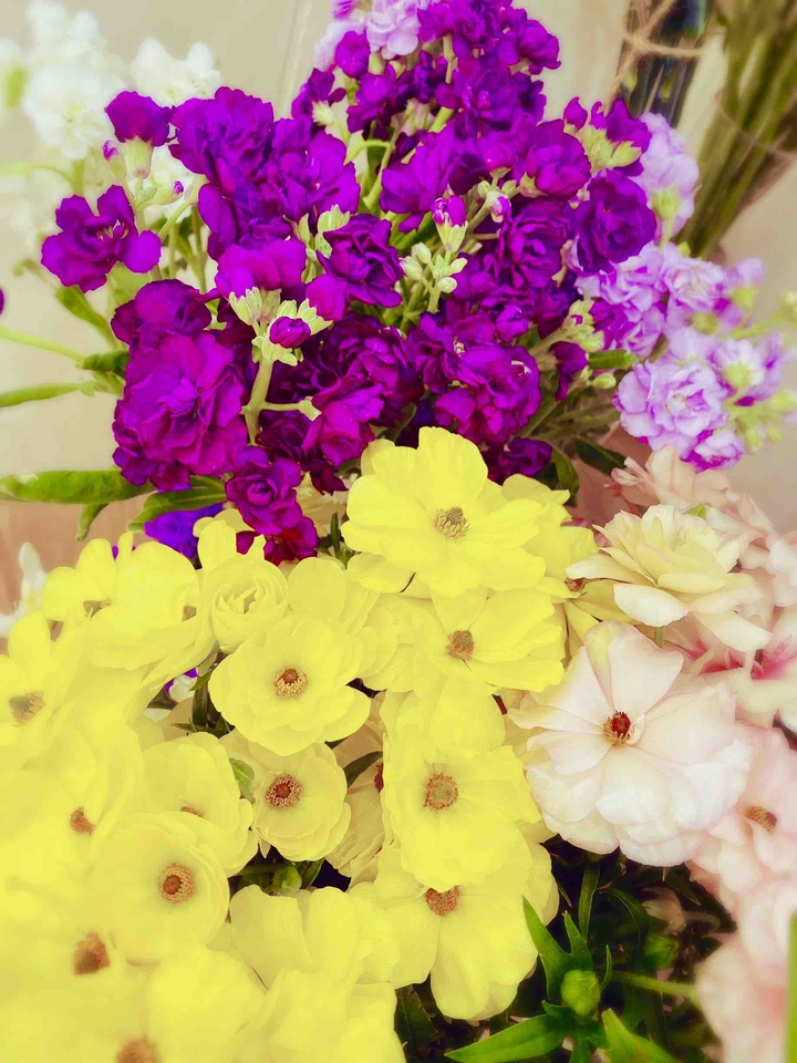 flower time