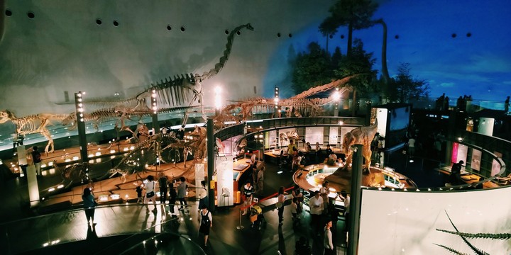 恐竜博物館
