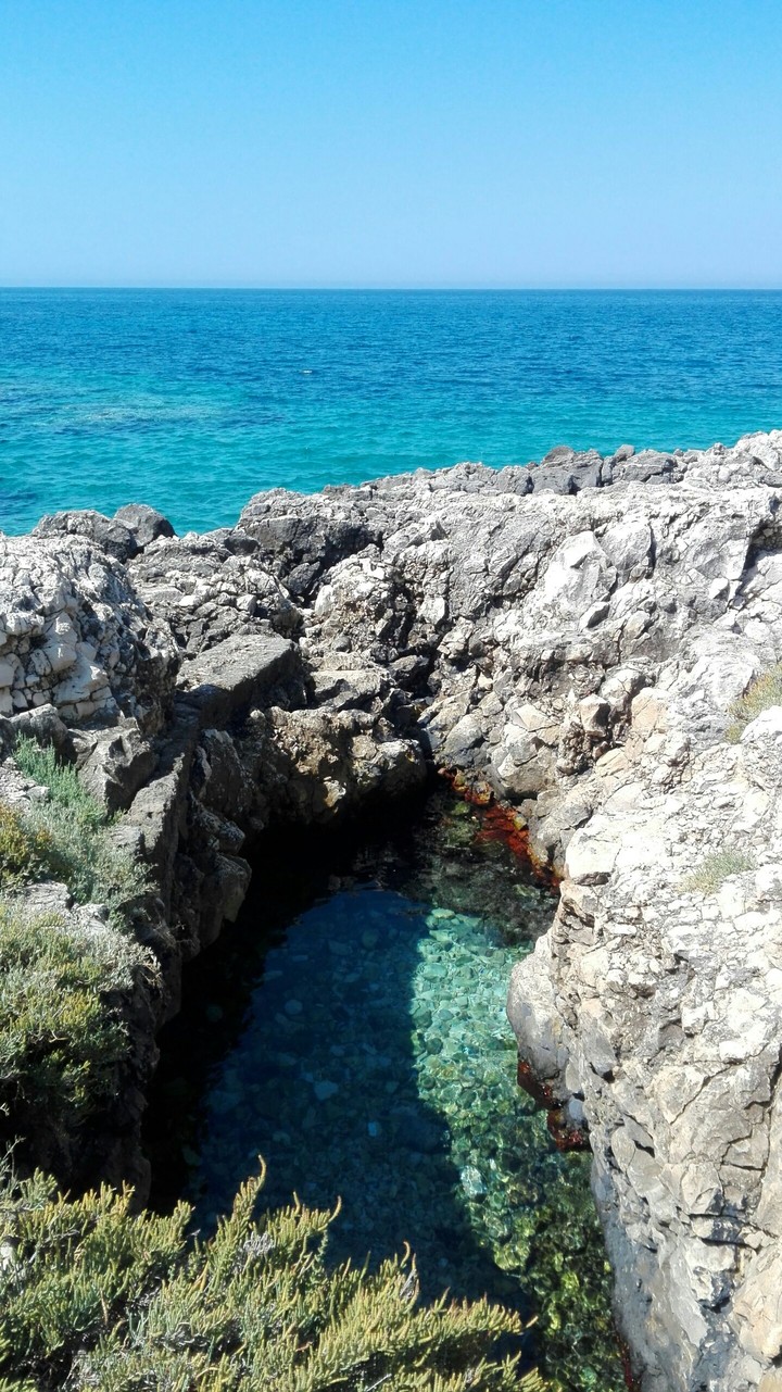 Natural swimming-pool.