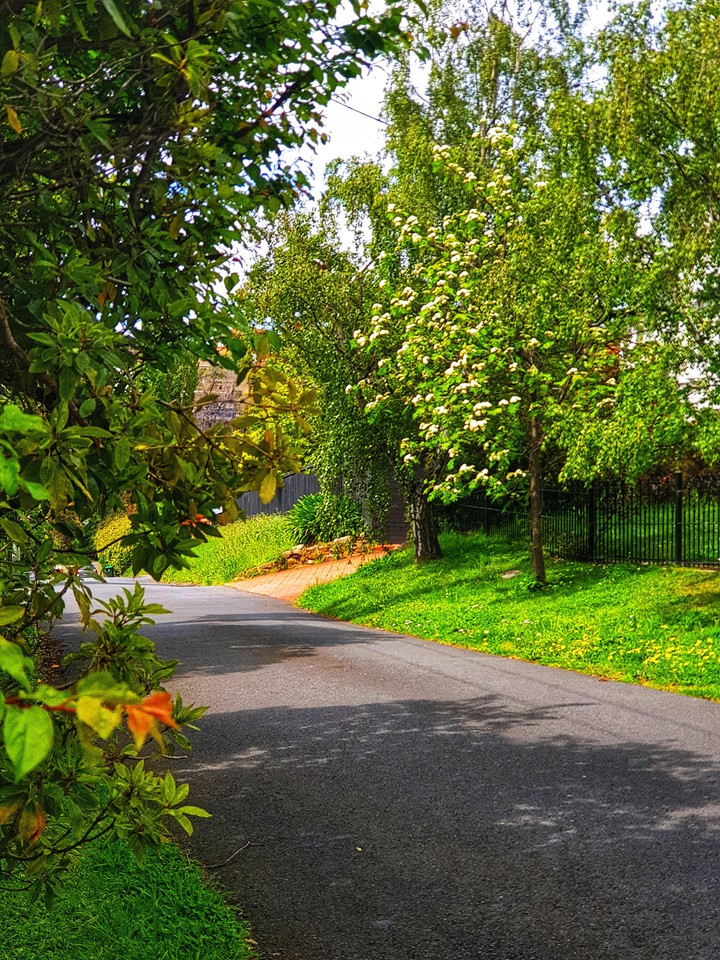 nature