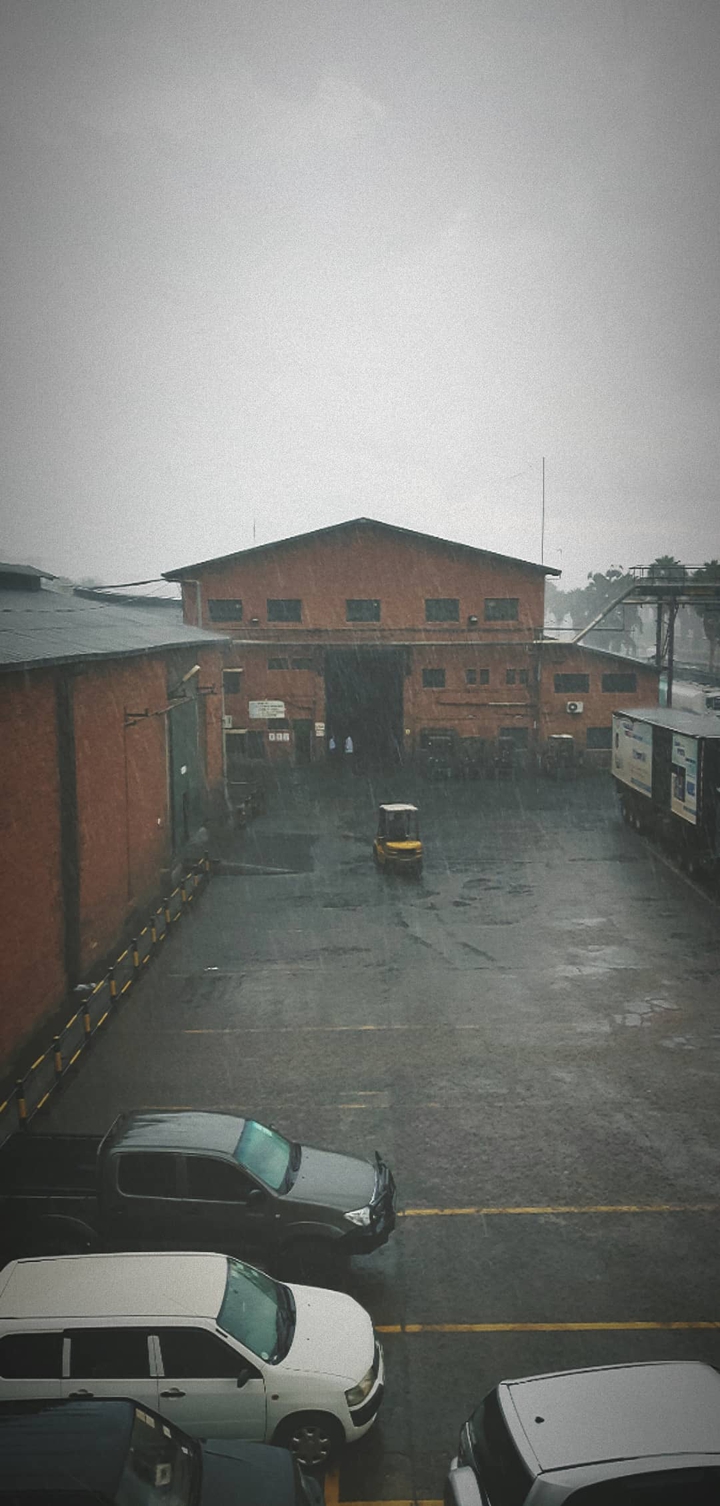 Rain