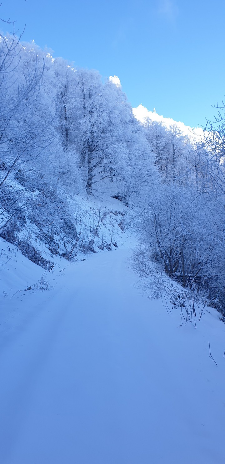 snow