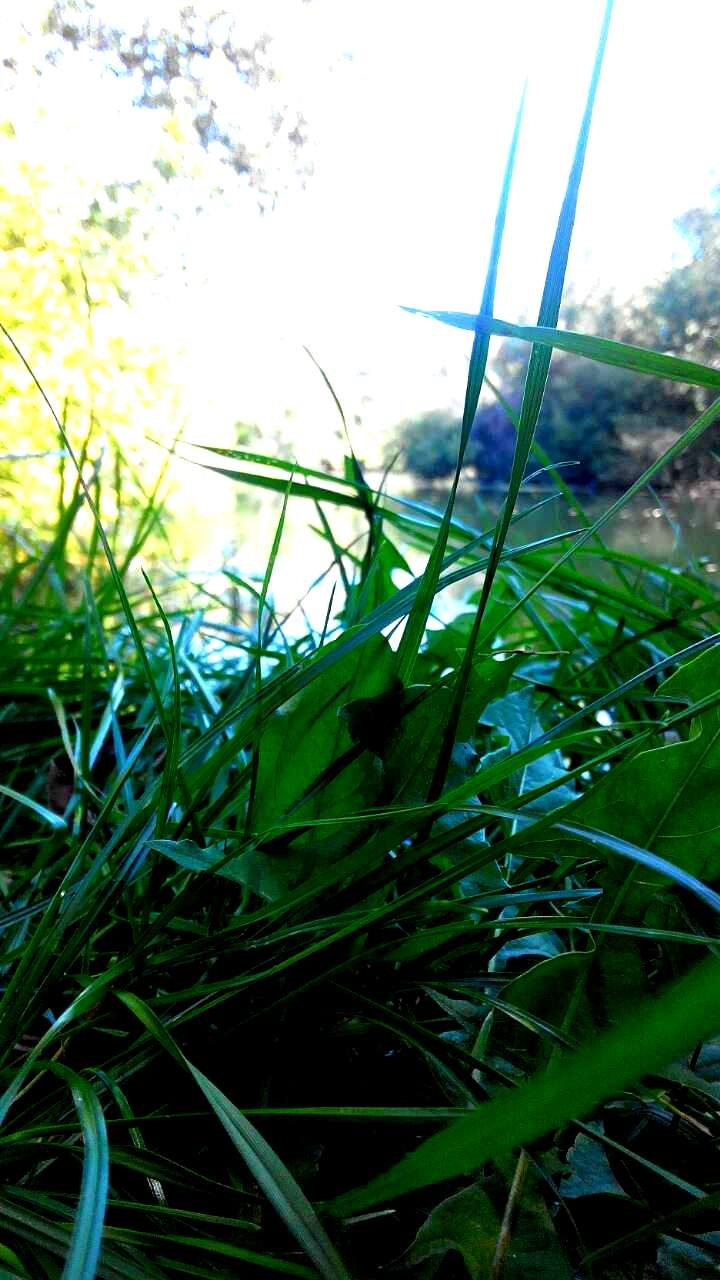 Summer