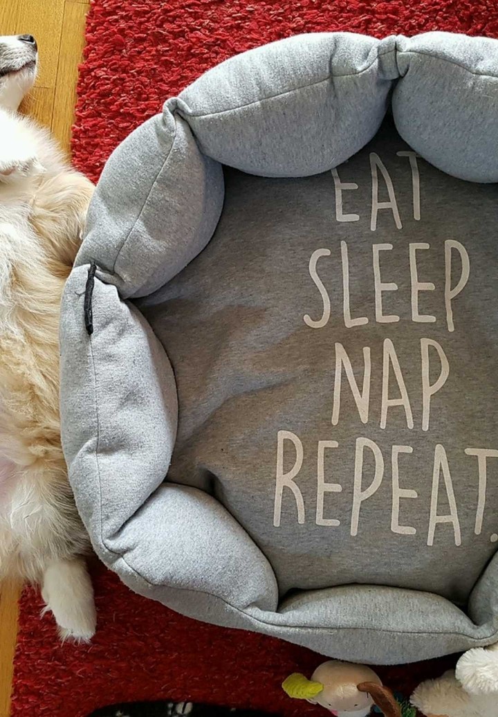 CORGI