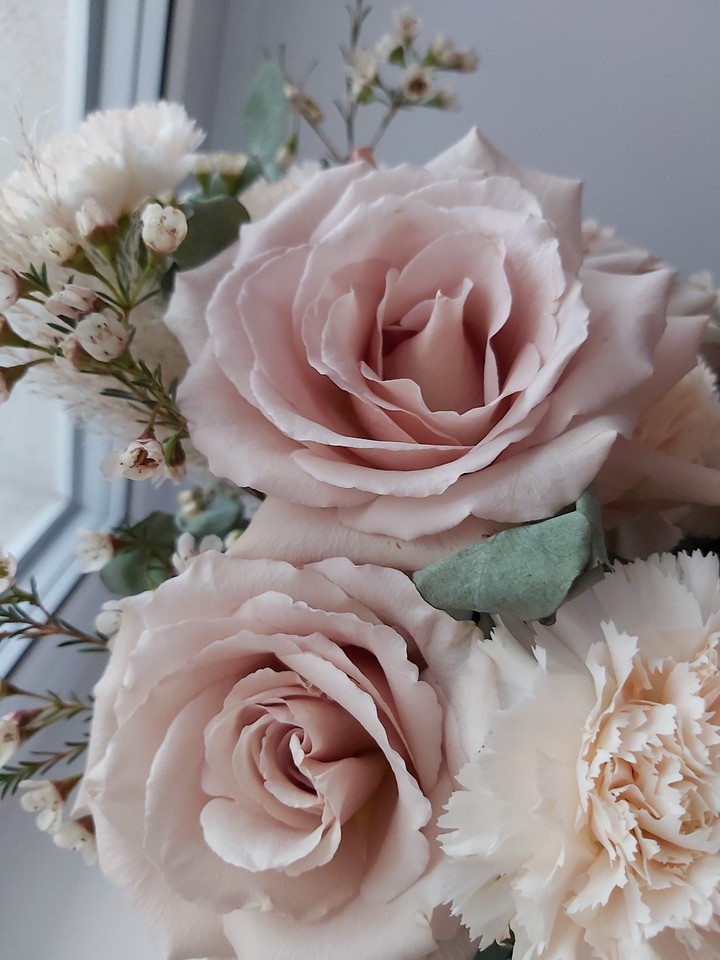 flowers