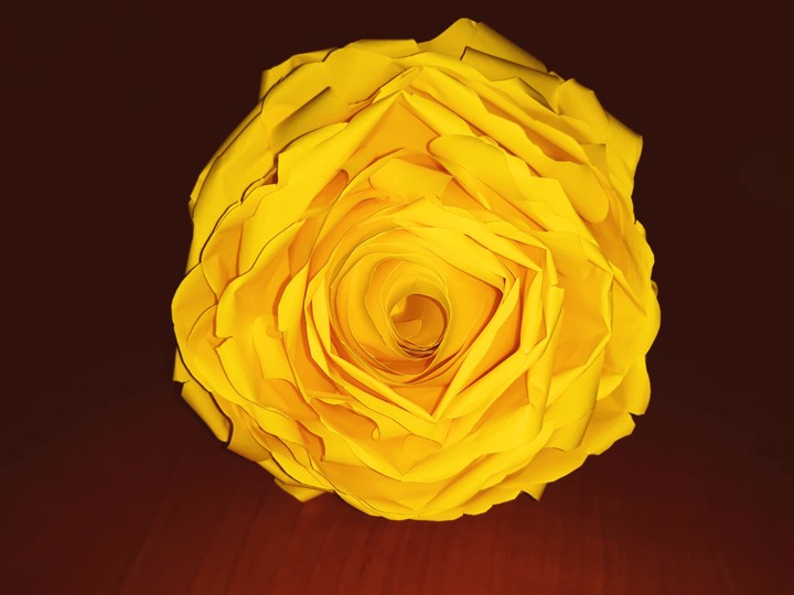 rose