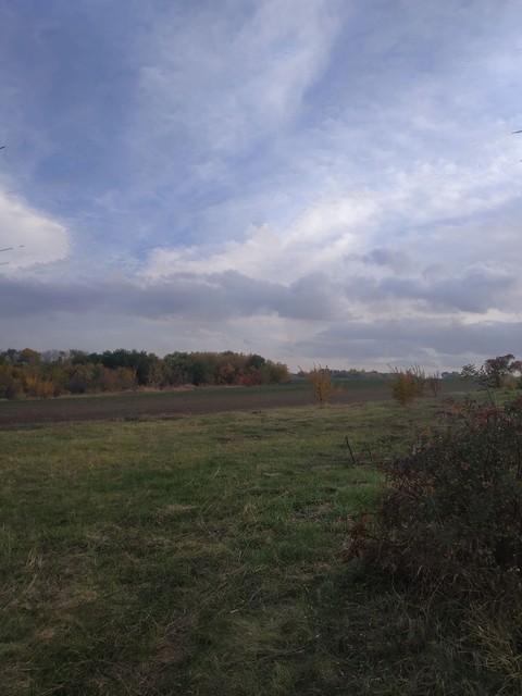 outside
