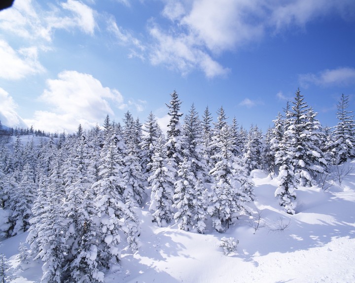 Seasonal Landscape