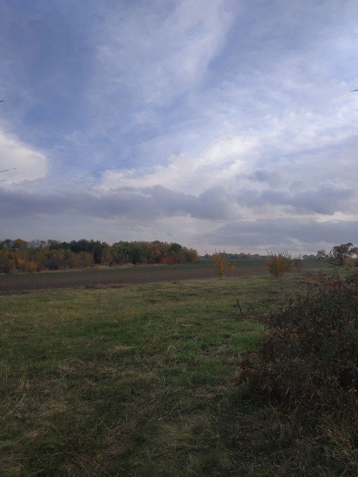 outside