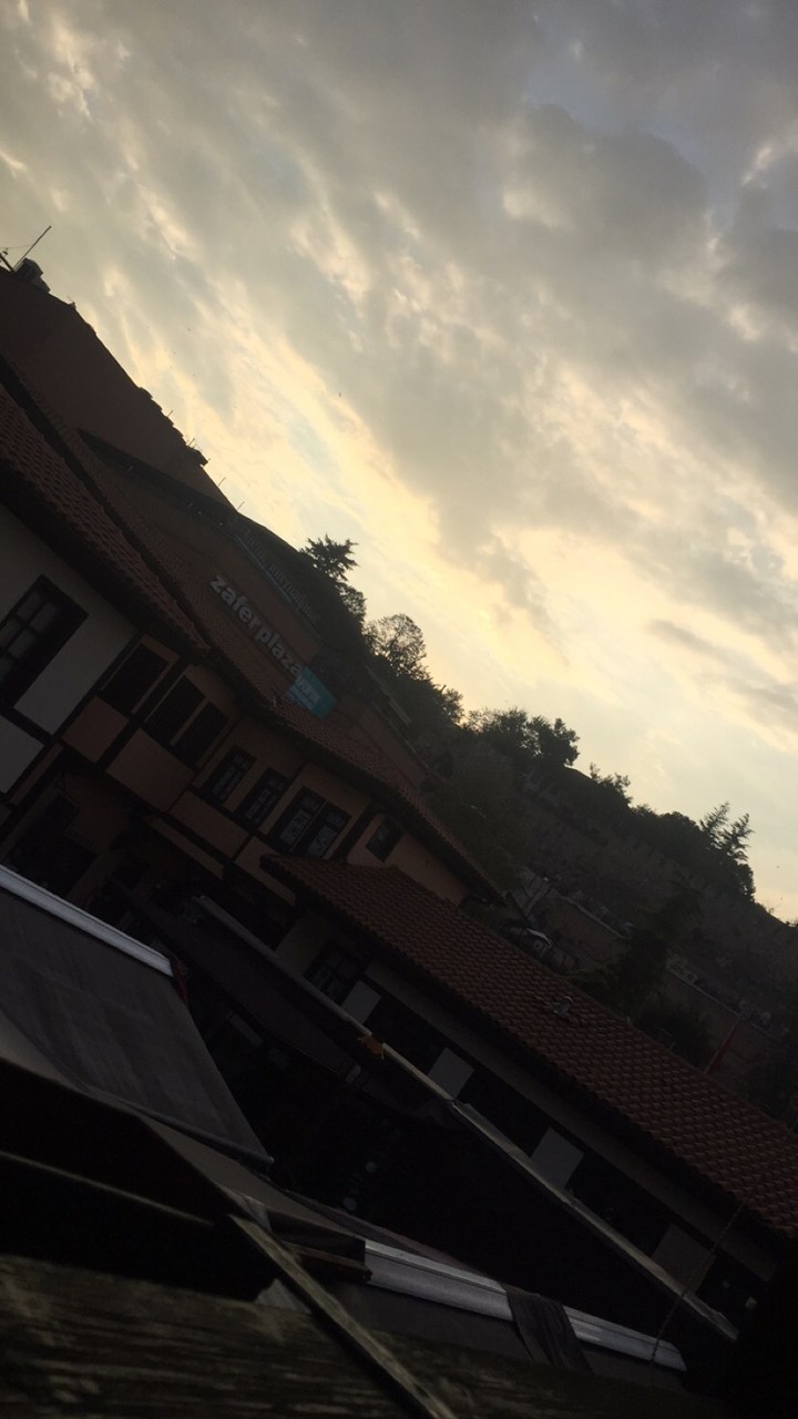 Bursa