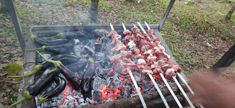 ✴ Kebab yesterday in the Lavij forest ⛰☘