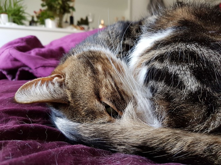 Fluff