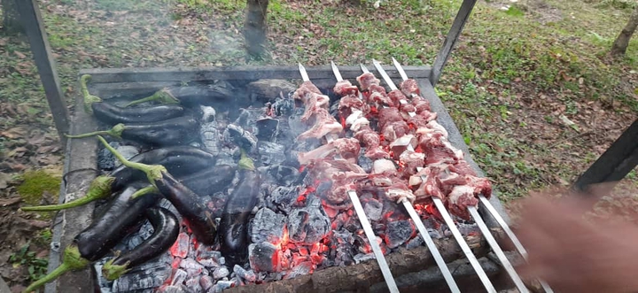 ✴ Kebab yesterday in the Lavij forest ⛰☘