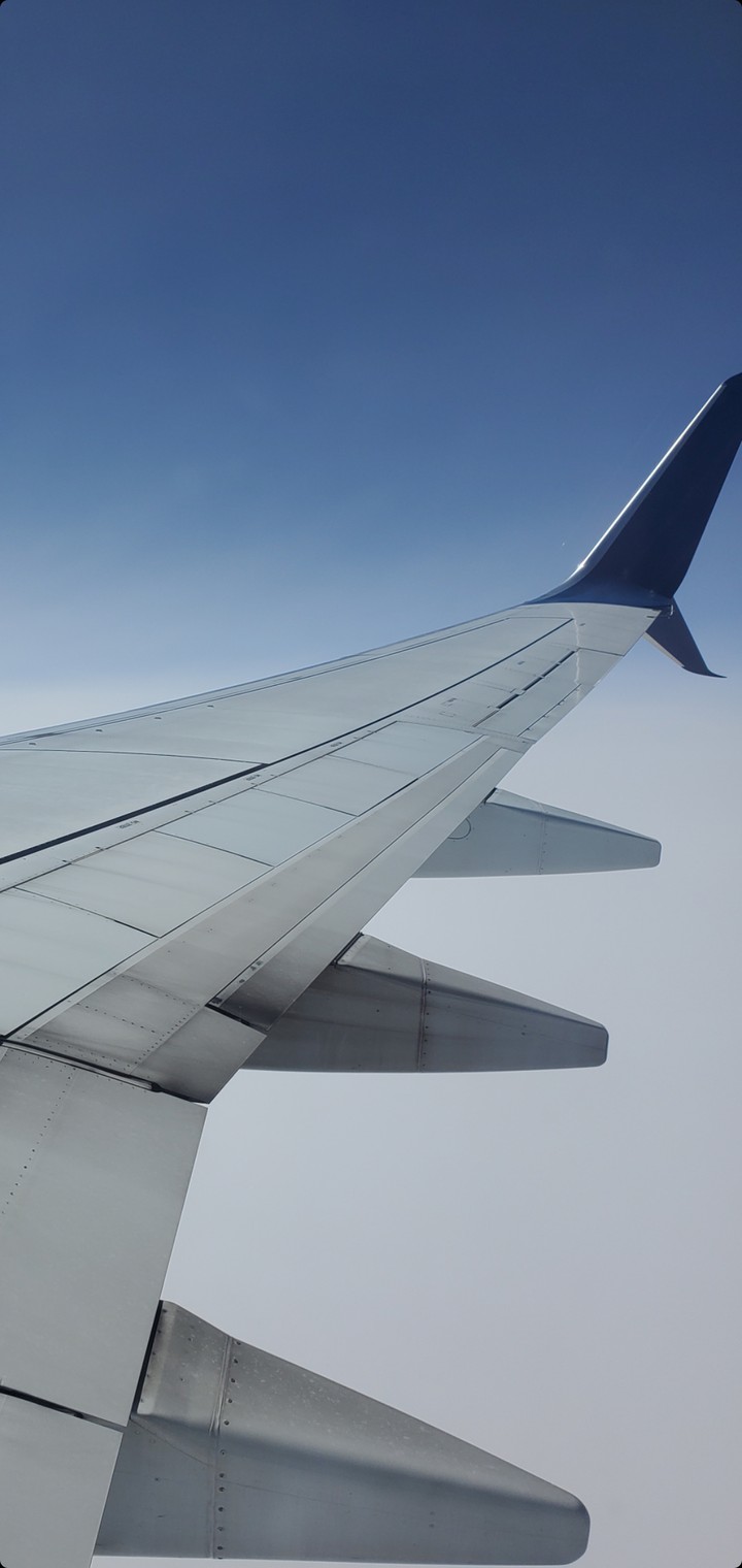 trip to Hawaii