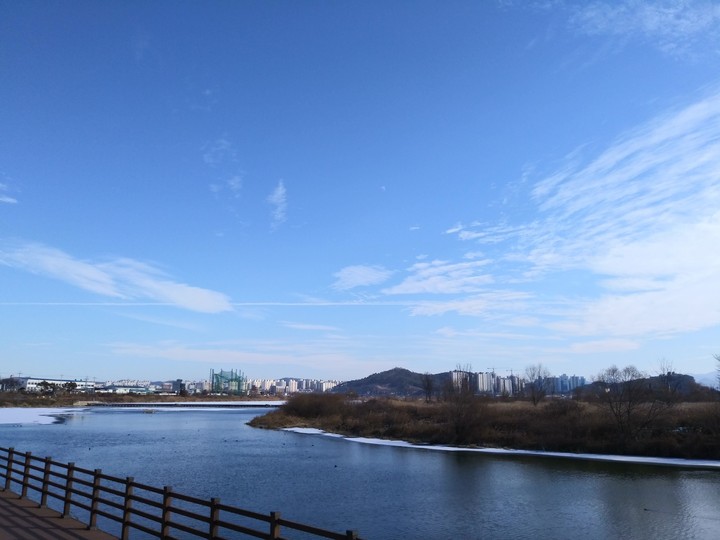 겨울 강