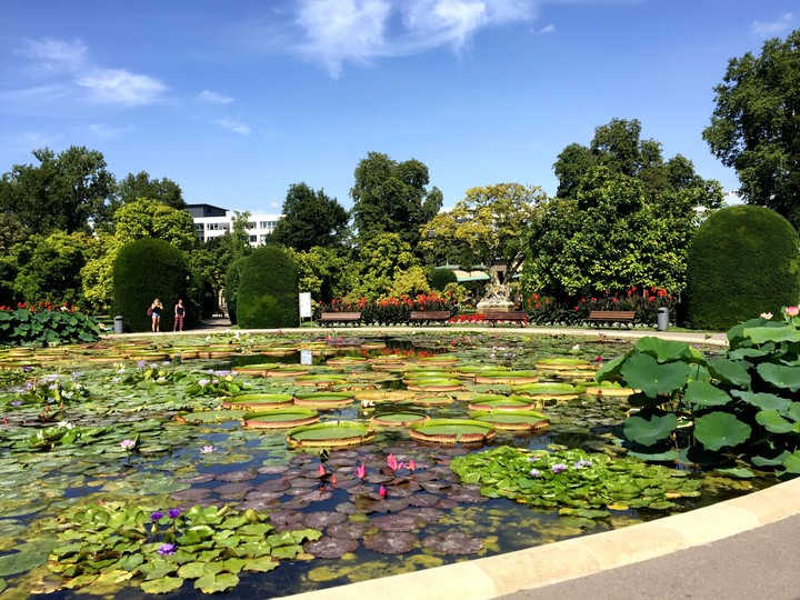Wilhelma-Stuttgart/Germany