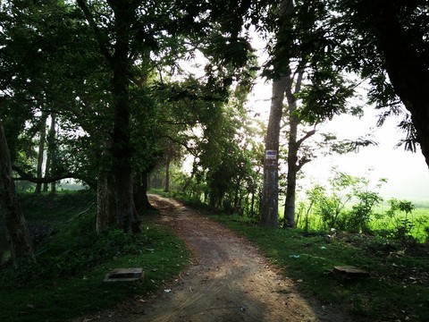 Beautiful Morning..