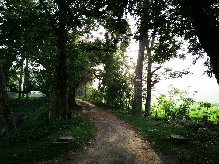 Beautiful Morning..