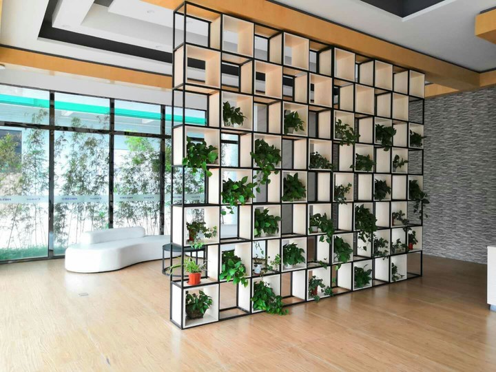 plants
