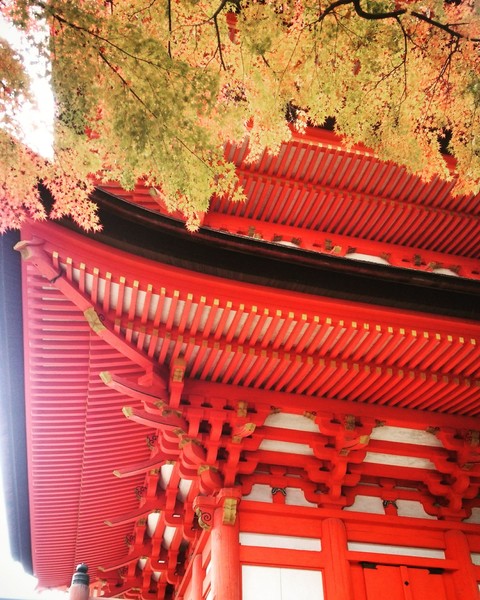朱色