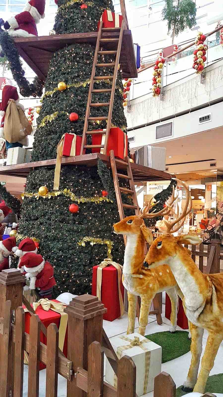 noel