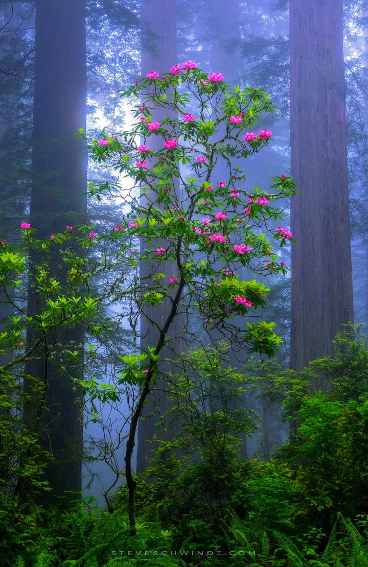 naturaleza