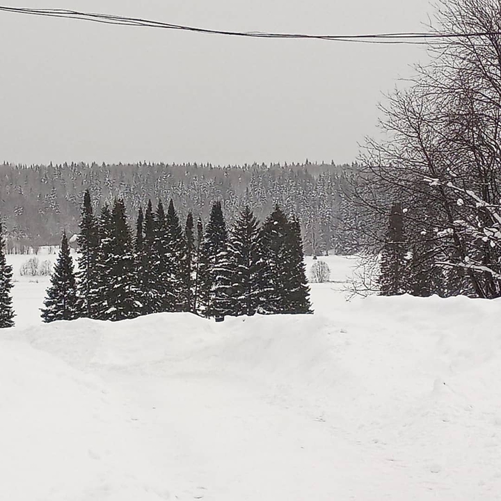 пр