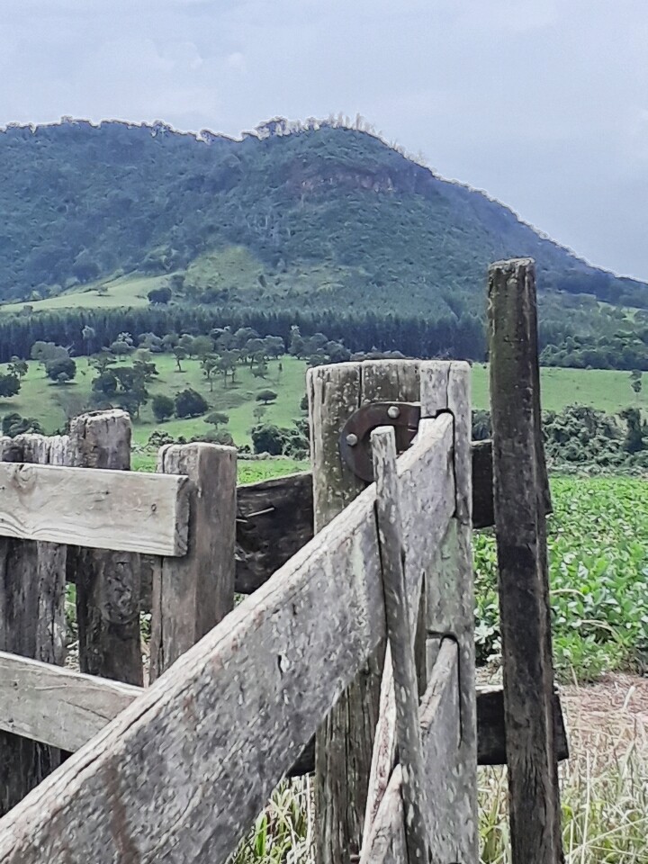 paisagem