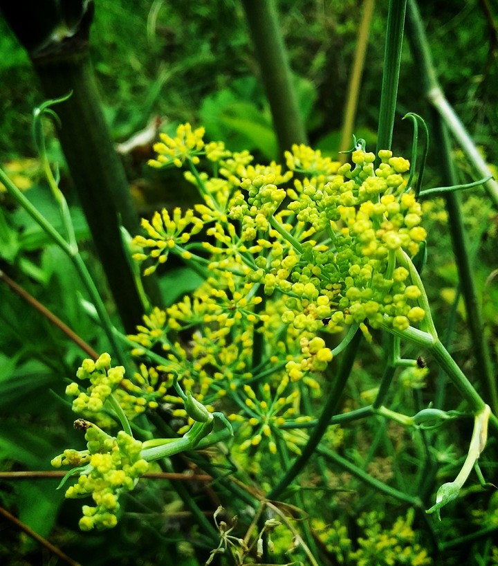 love that makes nature more beautiful