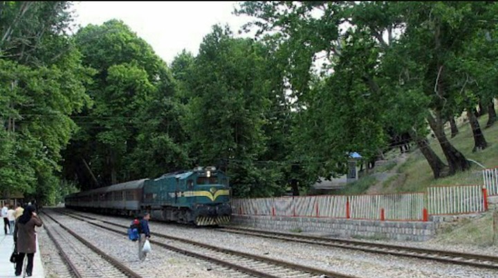 The train