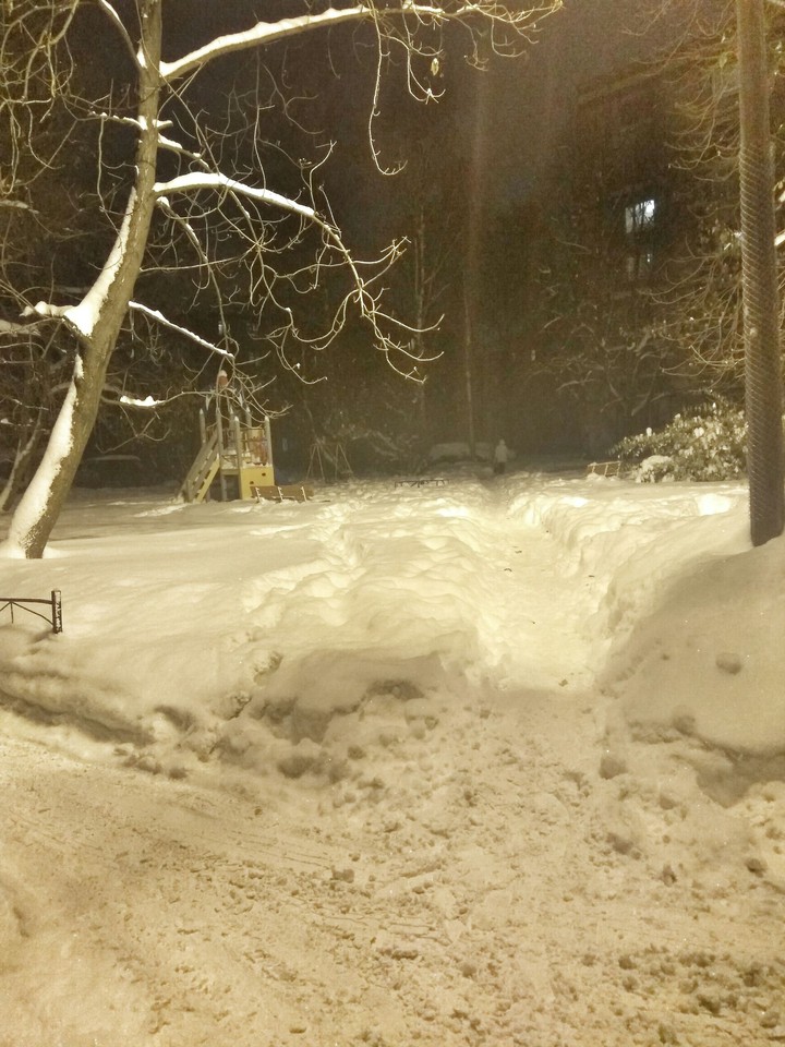 Snowdrift