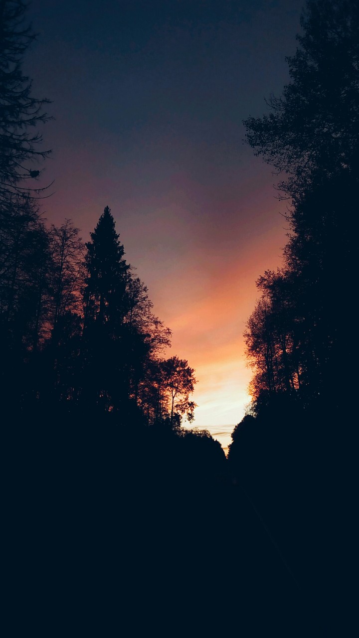 Пламенный закат