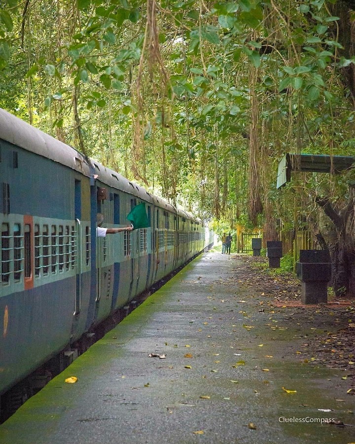 train