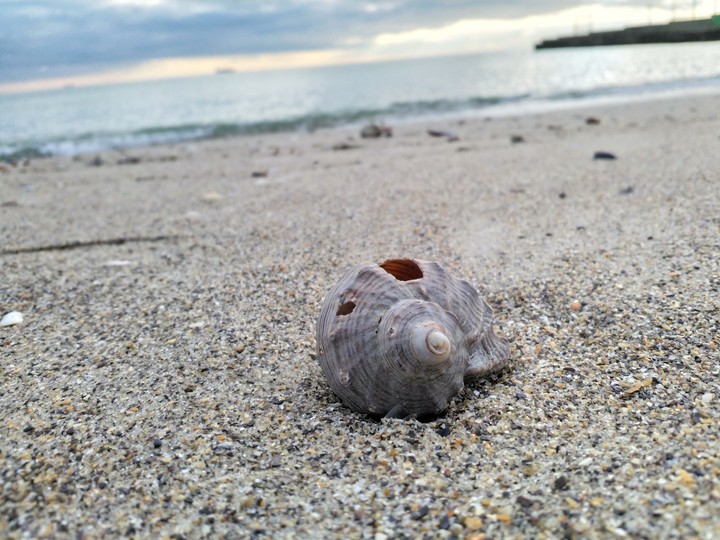 море sea