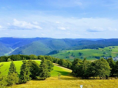 just some pretty view