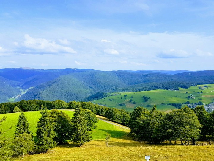 just some pretty view