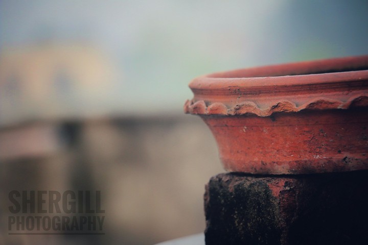 shergill photo graphy