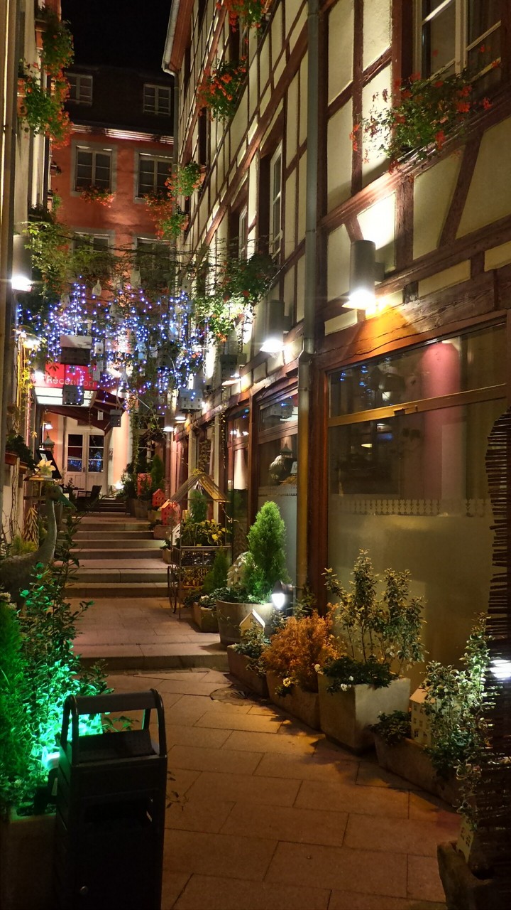 night lights on the alley