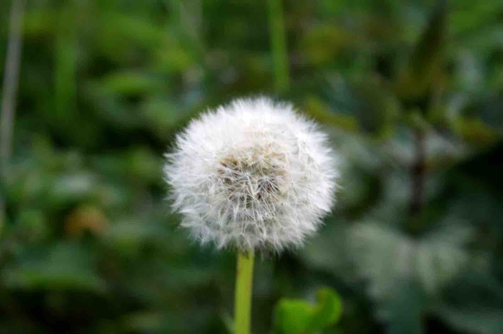 ..